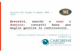 Conferenza Aiga Bassano Brevetti, marchi e nomi a dominio: concetti base per meglio gestire le controversie Relazione Avv. Gianluca Carobene