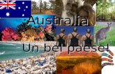 Australia   D. Valeri