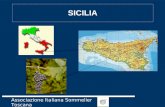 Sicilia Lezione AIS Secondo Livello sommelier