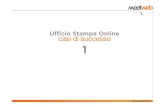 Ufficio Stampa Online | case study 1
