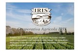 Presentazione Iris Cooperativa Agricola - Maurizio Gritta