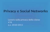 Privacy e social networks