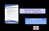 neuroimaging nelle demenze