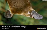 Evolutive User Experience Design