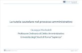 La tutela cautelare nel processo amministrativo - del Prof. Giuseppe Morbidelli