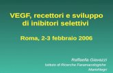 VEGF, recettori e sviluppo di inibitori selettivi Roma, 2-3 febbraio 2006 Raffaella Giavazzi Istituto di Ricerche Faramacologiche MarioNegri.