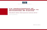 Report Statistico Associazioni di Promozione Sociale della provincia di Lucca - 2010