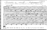 Partituras - Schubert - Sonata Arpeggione (Parte Flauta)