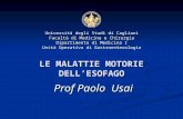Malattie Motorie Dell'Esofago