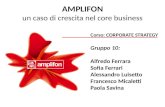 Corporate Strategy: Amplifon