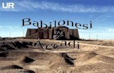 Accadi E Babilonesi