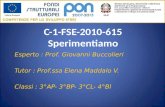 C-1-FSE-2010-615 Sperimentiamo Esperto : Prof. Giovanni Buccolieri Tutor : Prof.ssa Elena Maddalo V. Classi : 3°AP- 3°BP- 3°CL- 4°Bl.