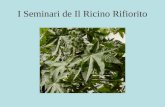 I Seminari de Il Ricino Rifiorito. Dott. Enrico Marano.