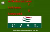 CISL C onfederazione I taliana S indacati L avoratori Dipartimento Nazionale Formazione Fiba Cisl.