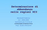 Determinazione di abbondanze nelle regioni HII Martinelli Federica A.A. 2004-2005 Seminario per il corso di ASTRONOMIA EXTRAGALATTICA Prof. Guido Chincarini.