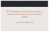 Il Documento di buona causa, o esame del caso per la raccolta fondi Marina Sozzi, 6 giugno 2013.