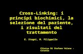 Cross-Linking: i principi biochimici, la selezione del paziente, i risultati del trattamento E. Stagni, M. Filippello Clinica Di Stefano Velona - Catania.