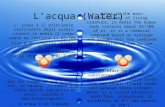 Lacqua (Water) L acqua è il principale costituente degli esseri viventi,in media il corpo umano ne contiene il 65/70%. Essa è un composto chimico formato.