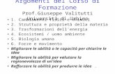 Argomenti del Corso di Formazione Prof.Giuseppe Valitutti Università di Urbino 1. Cambiamenti fisici e chimici 2. Struttura e proprietà della materia 3.