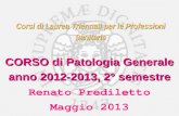 Corsi di Laurea Triennali per le Professioni Sanitarie CORSO di Patologia Generale Sanitarie CORSO di Patologia Generale anno 2012-2013, 2° semestre Renato.