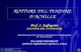 ROTTURE DEL TENDINE DACHILLE Prof. S. Zaffagnini MALATTIE APP. LOCOMOTORE TRAUMATOLOGIA DELLO SPORT & LABORATORIO DI BIOMECCANICA Dir. : Prof. M. Marcacci.