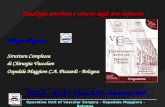 Operative Unit of Vascular Surgery - Ospedale Maggiore - Bologna Patologia arteriosa e venosa degli arti superiori Filippo Magnoni Struttura Complessa.