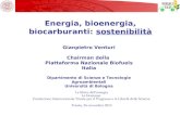 Gianpietro Venturi Chairman della Piattaforma Nazionale Biofuels Italia Dipartimento di Scienze e Tecnologie Agroambientali Università di Bologna Energia,