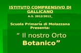 ISTITUTO COMPRENSIVO DI GALLICANO A.S. 2012/2013 Scuola Primaria di Molazzana Presenta: Il nostro Orto Botanico Il nostro Orto Botanico.