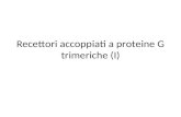 Recettori accoppiati a proteine G trimeriche (I).