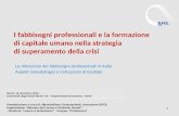 Le rilevazioni dei fabbisogni professionali in Italia Aspetti metodologici e indicazioni di risultato 1 I fabbisogni professionali e la formazione di capitale.