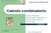 Calcolo combinatorio Una trattazione elementare esposta in modo essenziale e funzionale. Liceo Scientifico Statale G.Sulpicio Veroli (FR) A.S. 2000/2001.
