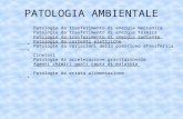 PATOLOGIA AMBIENTALE Patologie da trasferimento di energia meccanica Patologie da trasferimento di energia termica Patologie da trasferimento di energia.
