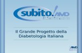 Il Grande Progetto della Diabetologia Italiana. 2009 Il diabete è divenuto un problema sanitario di primaria importanza Istituzioni, SSN, industria, opinione.