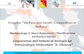 Programma di Sostegno alla Cooperazione Regionale Progetto Welfare and Health Cooperation in Balkans Workpackage 2: Need Assesment / Pianificazione sanitaria.