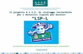 Il progetto A.I.S.E. di «Sviluppo Sostenibile per i detersivi liquidi per bucato» LSP-L Il progetto A.I.S.E. di «Sviluppo Sostenibile per i detersivi liquidi.