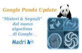 Google Panda Update "Misteri & Segnali" dal nuovo algoritmo di Google GUARDA IL VIDEO - CLICCA QUI.