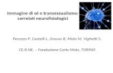 Immagine di sé e transessualismo: correlati neurofisiologici Perozzo P, Castelli L, Grosso B, Molo M, Vighetti S. CE.R.NE. – Fondazione Carlo Molo, TORINO.