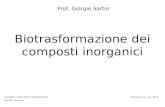 Biotrasformazione dei composti inorganici Prof. Giorgio Sartor Copyright © 2001-2012 by Giorgio Sartor. All rights reserved. Versione 3.5 - nov 2012.