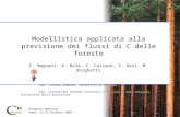 Modellistica applicata alla previsione dei flussi di C delle foreste F. Magnani, A. Nolè, C. Cassano, S. Dezi, M. Borghetti Dip. Colture Arboree, Università