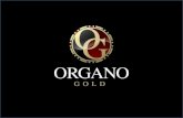 Organo Gold è nata nel settembre 2008, grazie al suo presidente Bernie Chua.