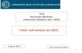 1 Prof. Domenico Milito TFA Secondo Modulo: Interventi didattici per i BES I DSA nellambito dei BES 8 aprile 2013.