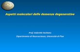 Aspetti molecolari delle demenze degenerative Prof. Gabriele Siciliano Dipartimento di Neuroscienze, Università di Pisa.