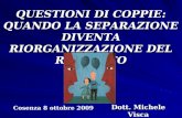 QUESTIONI DI COPPIE: QUANDO LA SEPARAZIONE DIVENTA RIORGANIZZAZIONE DEL RAPPORTO Cosenza 8 ottobre 2009 Dott. Michele Visca.