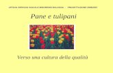 Pane e tulipani Verso una cultura della qualità UFFICIO SERVIZIO SOCIALE MINORENNI BOLOGNA - PROGETTAZIONE 2006/2007.
