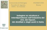 FEDERVINI Roma Università di Bologna Facoltà di Agraria CRIVE – Sez. Economia Federvini Indagine su struttura e interdipendenze nellindustria dei vini,