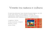 Veneto tra natura e cultura Un percorso attraverso lasse culturale di questa regione, con città darte come Verona, Vicenza, Padova e Venezia, che rappresentano.