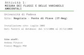 Attività 1: MISURA DEI FLUSSI E DELLE VARIABILI AMBIENTALI Università di Padova Sito: Negrisia - Ponte di Piave (IT-Neg) Installazione sito: Luglio 2005.