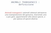 Animali transgenici: animali ottenuti attraverso una manipolazione del genoma, inserendo uno o più geni, appartenenti alla stessa specie, o più spesso.