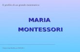 MARIAMONTESSORI Il profilo di un grande matematico: Chiara Luisa Bottini,a.a 2010/2011.