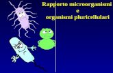 Rapporto microorganismi e organismi pluricellulari.